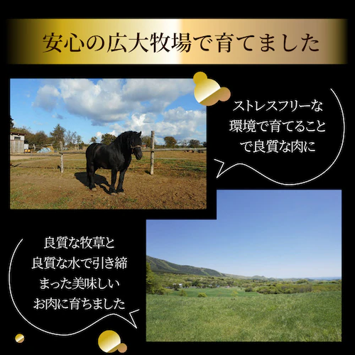 【しゃぶまる】馬刺し ユッケ 刺身 3個セット(50g×3個) 3人前 たれつき ばさし おつまみ 酒の肴 惣菜 通販 お得 かんたん 簡単 ダイエット 肉食べ物 食品 誕生日 ギフト プレゼント _7