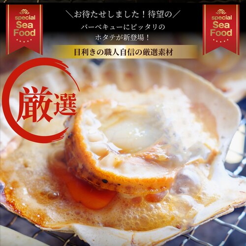 【しゃぶまる】ホタテ ほたて 帆立 10枚入り 北海道産 バター焼き ほたて貝 バーベキュー BBQ 片貝 焼くだけ 業務用 国産 海鮮 シーフード 食品 グルメ 殻付き_1
