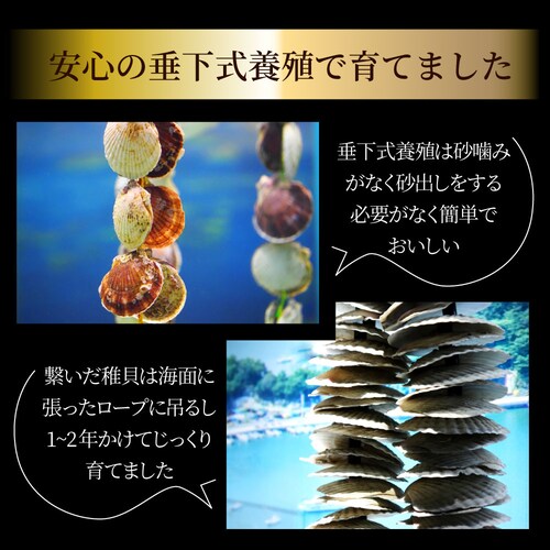【しゃぶまる】ホタテ ほたて 帆立 10枚入り 北海道産 バター焼き ほたて貝 バーベキュー BBQ 片貝 焼くだけ 業務用 国産 海鮮 シーフード 食品 グルメ 殻付き_7