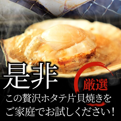 【しゃぶまる】ホタテ ほたて 帆立 10枚入り 北海道産 バター焼き ほたて貝 バーベキュー BBQ 片貝 焼くだけ 業務用 国産 海鮮 シーフード 食品 グルメ 殻付き_10
