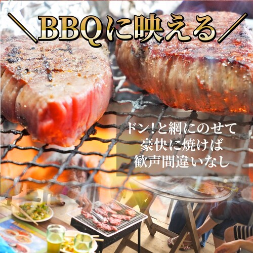 【しゃぶまる】牛肉 ヒレ ステーキ 詰め合わせ 100g×2枚セット 赤身 牛 肉 ステーキ肉 ヒレ肉 ひれ バーベキュー BBQ 通販 グルメ食品 お祝い ギフト プレゼント 誕生日_11