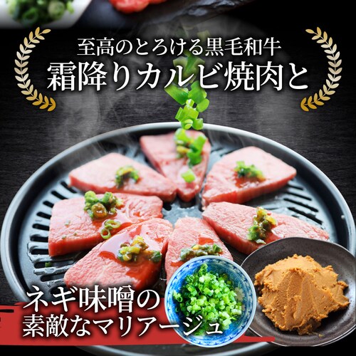 【しゃぶまる】A4,A5等級 特選 黒毛和牛 カルビ焼肉 250g ねぎまみれ 旨辛味噌ダレ( A4 〜 A5等級 )牛肉 肉 食品 お祝い 霜降り 贅沢 黒毛 和牛 国産 祝い 記念 通販 グルメ _1