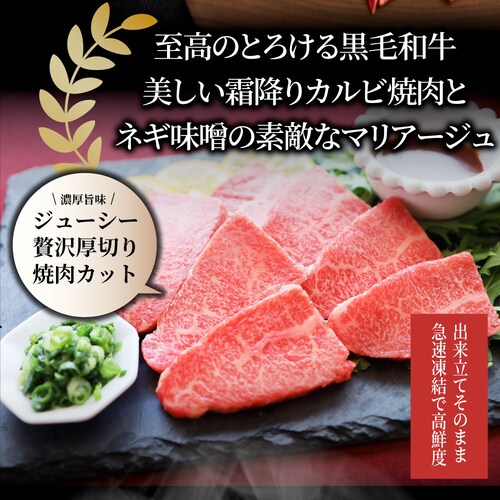 【しゃぶまる】A4,A5等級 特選 黒毛和牛 カルビ焼肉 250g ねぎまみれ 旨辛味噌ダレ( A4 〜 A5等級 )牛肉 肉 食品 お祝い 霜降り 贅沢 黒毛 和牛 国産 祝い 記念 通販 グルメ _10