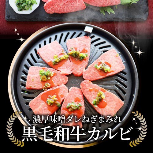 【しゃぶまる】A4,A5等級 特選 黒毛和牛 カルビ焼肉 250g ねぎまみれ 旨辛味噌ダレ( A4 〜 A5等級 )牛肉 肉 食品 お祝い 霜降り 贅沢 黒毛 和牛 国産 祝い 記念 通販 グルメ _15