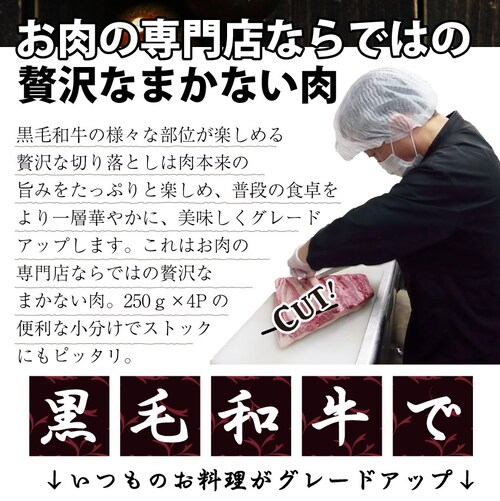 【しゃぶまる】肉 食品 お祝い 黒毛和牛 贅沢 霜降り 切り落とし たっぷり メガ盛り 1kg ギフト プレゼント ( 和牛 切り落とし 訳あり 国産 牛 牛肉 1kg 牛肉 )_14