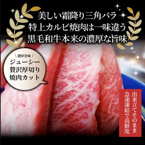 【しゃぶまる】肉 食品 お祝い A4,A5等級 特選 黒毛和牛 三角バラ カルビ焼肉 1kg(250g×4) 焼肉のタレ付 凍眠 テクニカン ギフト プレゼント 牛肉 和牛 牛 牛 焼肉 カルビ BB_9