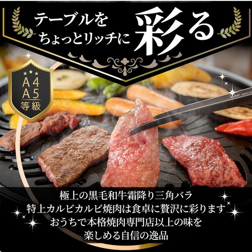 【しゃぶまる】肉 食品 お祝い A4,A5等級 特選 黒毛和牛 三角バラ カルビ焼肉 1kg(250g×4) 焼肉のタレ付 凍眠 テクニカン ギフト プレゼント 牛肉 和牛 牛 牛 焼肉 カルビ BB_11