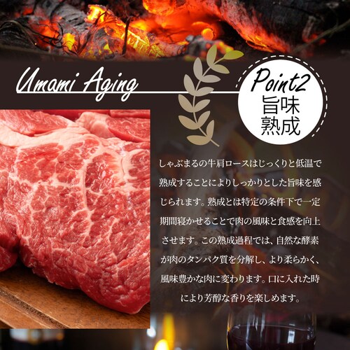 【しゃぶまる】牛肩ロース串 10本セット (合計800g) 牛串 肉 牛 肩ロース 学園祭 屋台 業務用 串焼き 食べ物 食材 食品 パーティー BBQ バーベキュー キャンプ キャンプ飯 冷凍 惣菜_6