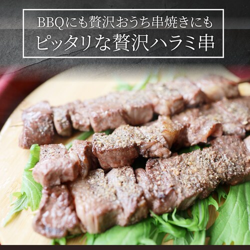 【しゃぶまる】牛ハラミ串 10本セット (合計800g) 牛串 肉 牛 ハラミ 学園祭 屋台 業務用 串焼き 食べ物 食材 食品 パーティー BBQ バーベキュー キャンプ キャンプ飯 冷凍 惣菜 冷_2