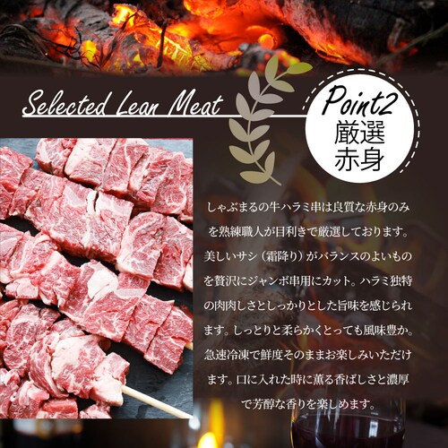 【しゃぶまる】牛ハラミ串 10本セット (合計800g) 牛串 肉 牛 ハラミ 学園祭 屋台 業務用 串焼き 食べ物 食材 食品 パーティー BBQ バーベキュー キャンプ キャンプ飯 冷凍 惣菜 冷_6