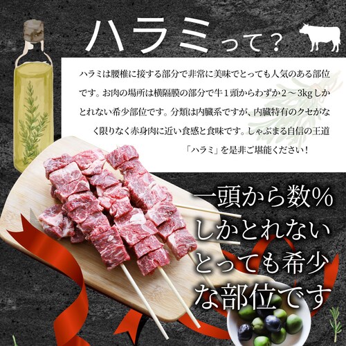 【しゃぶまる】牛ハラミ串 10本セット (合計800g) 牛串 肉 牛 ハラミ 学園祭 屋台 業務用 串焼き 食べ物 食材 食品 パーティー BBQ バーベキュー キャンプ キャンプ飯 冷凍 惣菜 冷_9