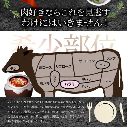 【しゃぶまる】牛ハラミ串 10本セット (合計800g) 牛串 肉 牛 ハラミ 学園祭 屋台 業務用 串焼き 食べ物 食材 食品 パーティー BBQ バーベキュー キャンプ キャンプ飯 冷凍 惣菜 冷_10
