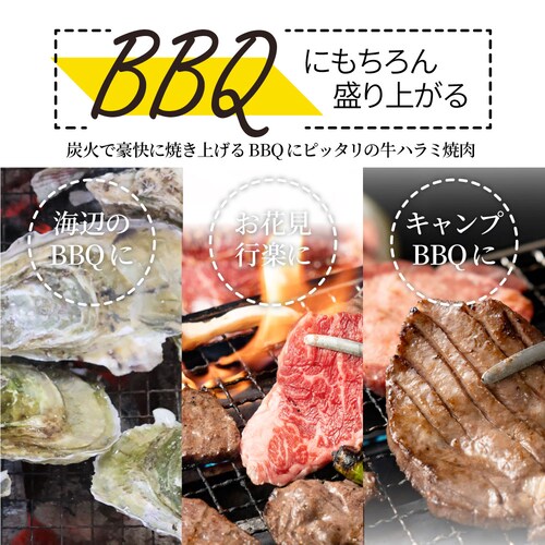 【しゃぶまる】牡蠣焼き バーベキュー 焼肉 ステーキ セット 3.4kg 8種盛り 肉 海鮮 BBQ 殻付き牡蠣 ハラミ 牛タン 牛ハラミ 牛肉 魚 通販 グルメ アウトドア お家焼肉 レジャー やき_17