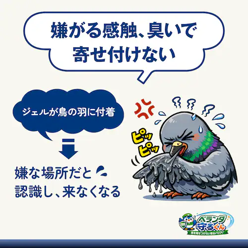 �x�����_��邭��+�ݒu�p�J�b�v15�t��_4