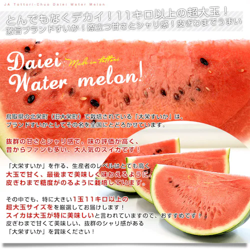 ���挧 JA���撆�� ��h������ �G�i ����� ���T�C�Y 11�L���ȏ� 1�� �������� ������ ���Z ��ʃX�C�J�y��������3������18���ȓ��ɔ������܂��z_1