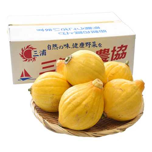 神奈川県産 三浦市農協 コリンキー(サラダかぼちゃ) 約3キロ 秀品 6玉送料無料 南瓜 カボチャ【ご注文後3日から18日以内に発送します】_1