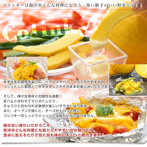 神奈川県産 三浦市農協 コリンキー(サラダかぼちゃ) 約3キロ 秀品 6玉送料無料 南瓜 カボチャ【ご注文後3日から18日以内に発送します】_4