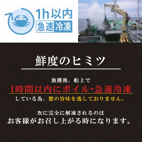 まるずわいがに 肩付き脚 正味重量1kg(総重量1.25kg) カニ脚 蟹脚 海鮮 お取り寄せ_3