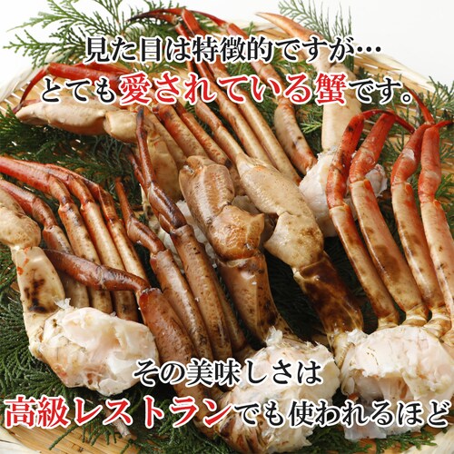 まるずわいがに 肩付き脚 正味重量1kg(総重量1.25kg) カニ脚 蟹脚 海鮮 お取り寄せ_4