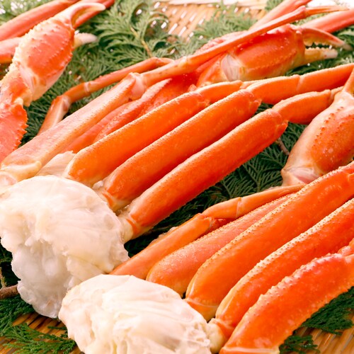 ずわいがに 肩付き脚 3L-4L 正味重量1.6kg(総重量2kg) ボイル ずわい蟹 ズワイガニ カニ脚 蟹脚 海鮮 お取り寄せ_4