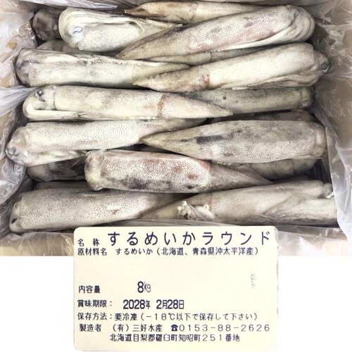 北海道産 イカ スルメイカ 1kg (生食用/3-4杯入り/陸冷品) 真いか いか 烏賊 生食 刺身 ギフト ご家庭用 北海道 グルメ お取り寄せ_1
