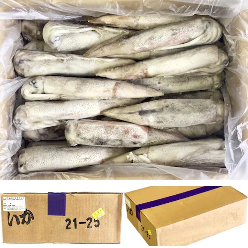 北海道産 イカ スルメイカ 1kg (生食用/3-4杯入り/陸冷品) 真いか いか 烏賊 生食 刺身 ギフト ご家庭用 北海道 グルメ お取り寄せ_2