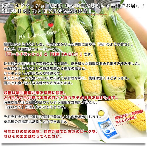 ���쌧���Y�n���� JA���쌧 ���̂�Ƃ������낵 2L����L�T�C�Y ��3�L���i6�{����10�{���j�Ƃ����낱�� �g�E�����R�V ���N�[���ցy��������3������18���ȓ��ɔ������܂��z�@_2