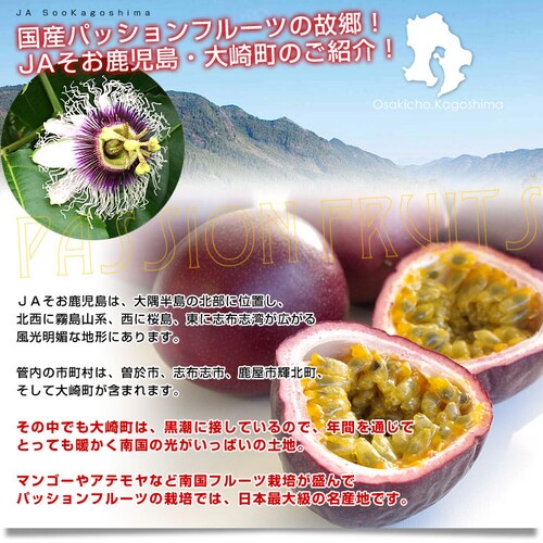 鹿児島県より産地直送 JAそお鹿児島 パッションフルーツ 2Lから3Lサイズ 1.2キロ(9玉から12玉) 送料無料 トロピカルフルーツ 曽於【ご注文後3日から18日以内に発送します】 _3