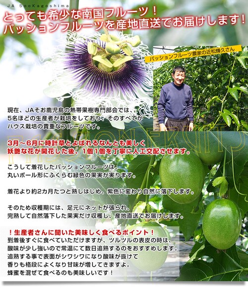 鹿児島県より産地直送 JAそお鹿児島 パッションフルーツ 2Lから3Lサイズ 1.2キロ(9玉から12玉) 送料無料 トロピカルフルーツ 曽於【ご注文後3日から18日以内に発送します】 _4