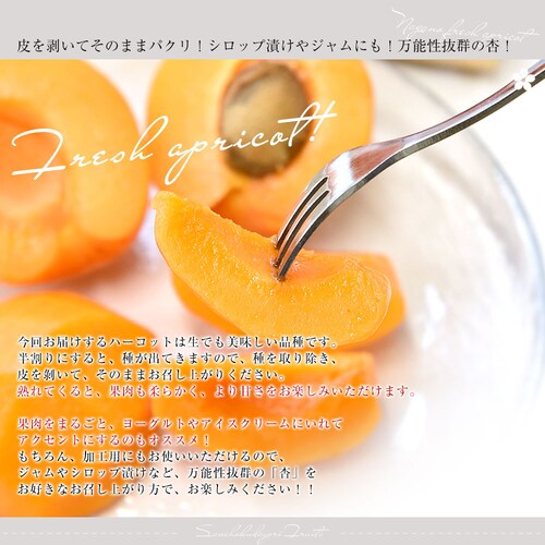長野県産 JAながの 生食用「杏(あんず)」(品種:ハーコット) 秀品 Lサイズ以上 約1キロ 送料無料 アプリコット 杏子 クール便【ご注文後3日から18日以内に発送します】 _4