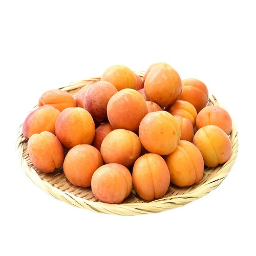長野県産 JAながの 生食用「杏(あんず)」(品種:ハーコット) 秀品 Lサイズ以上 約2キロ(4パック入り) 送料無料 アプリコット 杏子 クール便【ご注文後3日から18日以内に発送します】 _1