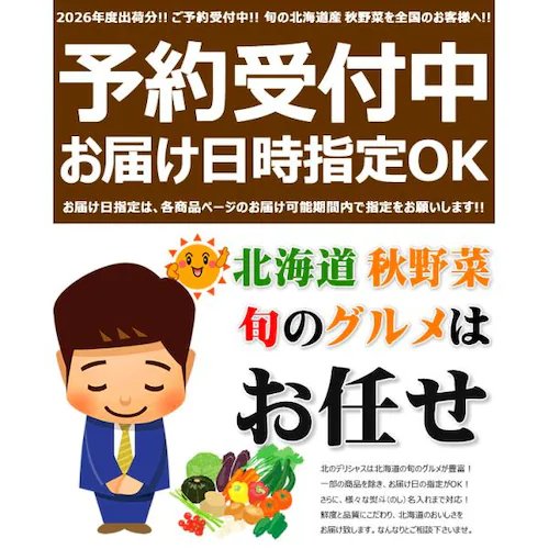 【出荷中】北海道産 新じゃが じゃがいも とうや 5kg (JA共撰/常温便) トウヤ 洞爺 黄爵 ジャガイモ 馬鈴薯 北海道 野菜 秋野菜 お取り寄せ_12