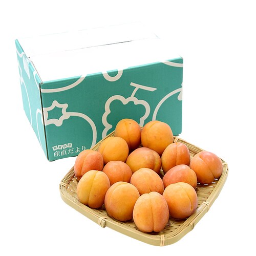 長野県産 JAながの 加工用「杏(あんず)」(品種:信州大実・平和・新潟大実など) 秀品 Lサイズ以上 約1キロ 送料無料 アプリコット 杏子 クール便【ご注文後3日から18日以内に発送します】 _1