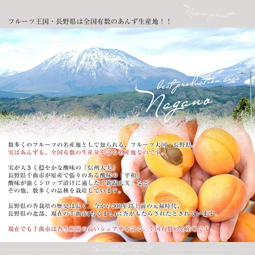 長野県産 JAながの 加工用「杏(あんず)」(品種:信州大実・平和・新潟大実など) 秀品 Lサイズ以上 約1キロ 送料無料 アプリコット 杏子 クール便【ご注文後3日から18日以内に発送します】 _3