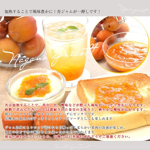長野県産 JAながの 加工用「杏(あんず)」(品種:信州大実・平和・新潟大実など) 秀品 Lサイズ以上 約1キロ 送料無料 アプリコット 杏子 クール便【ご注文後3日から18日以内に発送します】 _4
