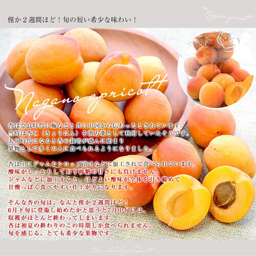 長野県産 JAながの 加工用「杏(あんず)」(品種:信州大実・平和・新潟大実など) 秀品 Lサイズ以上 約2キロ 送料無料 アプリコット 杏子 クール便【ご注文後3日から18日以内に発送します】_2