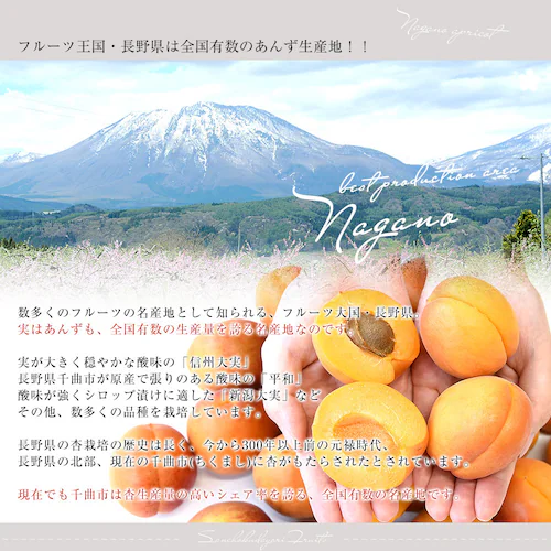 長野県産 JAながの 加工用「杏(あんず)」(品種:信州大実・平和・新潟大実など) 秀品 Lサイズ以上 約2キロ 送料無料 アプリコット 杏子 クール便【ご注文後3日から18日以内に発送します】_3