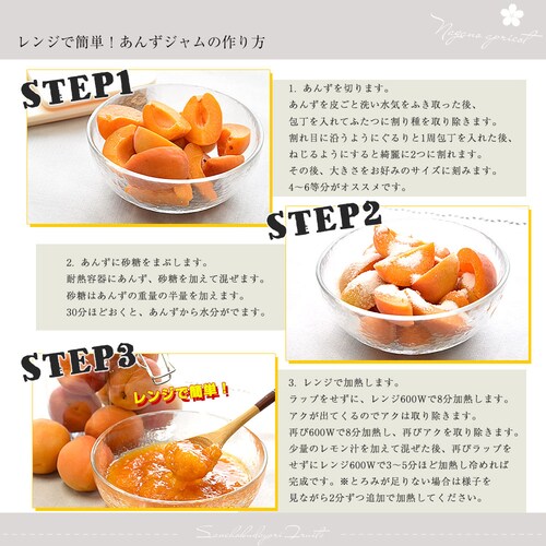 長野県産 JAながの 加工用「杏(あんず)」(品種:信州大実・平和・新潟大実など) 秀品 Lサイズ以上 約2キロ 送料無料 アプリコット 杏子 クール便【ご注文後3日から18日以内に発送します】_5