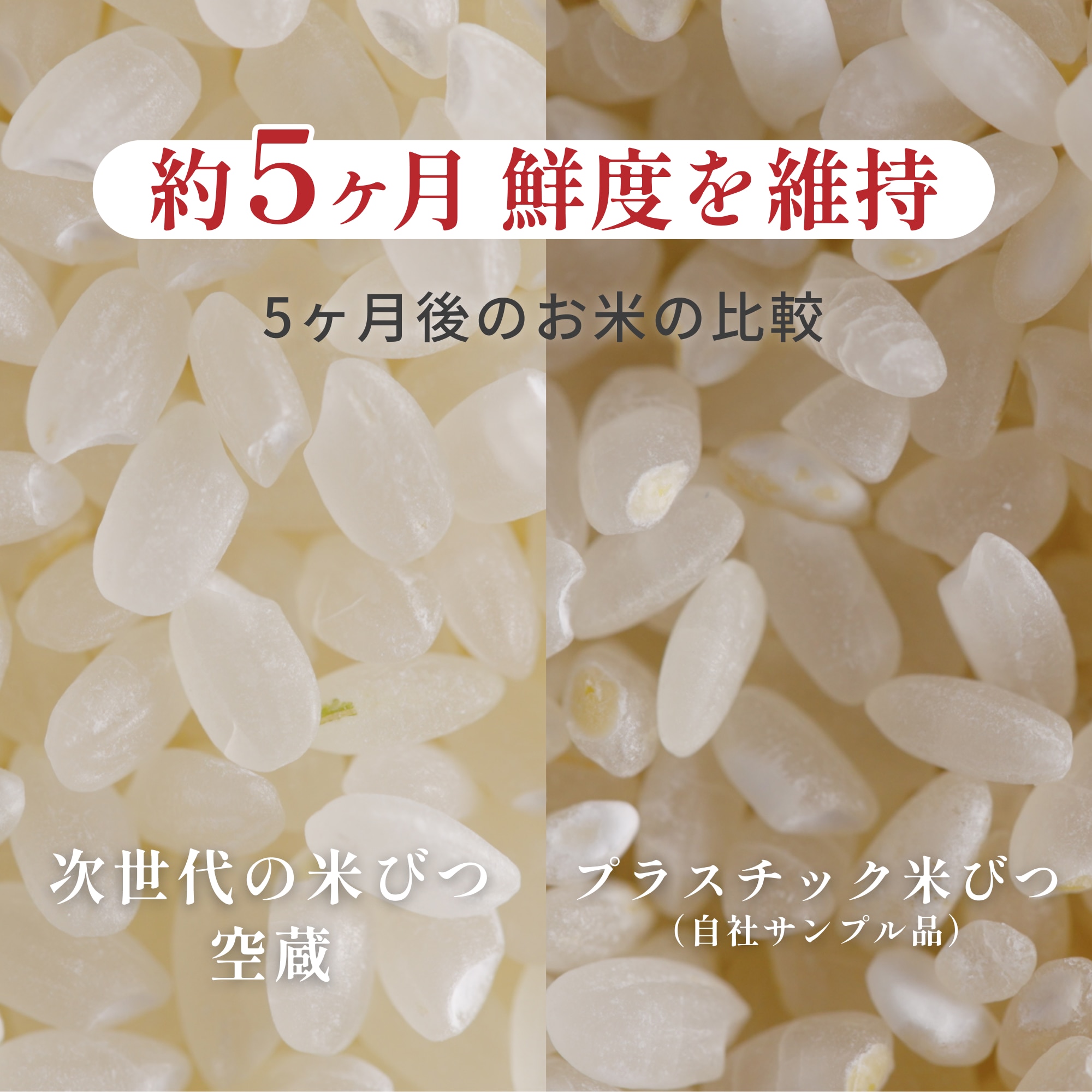 真空保存容器 米びつ 空蔵(KURA) 5kg SE1049333 │アイリスオーヤマ