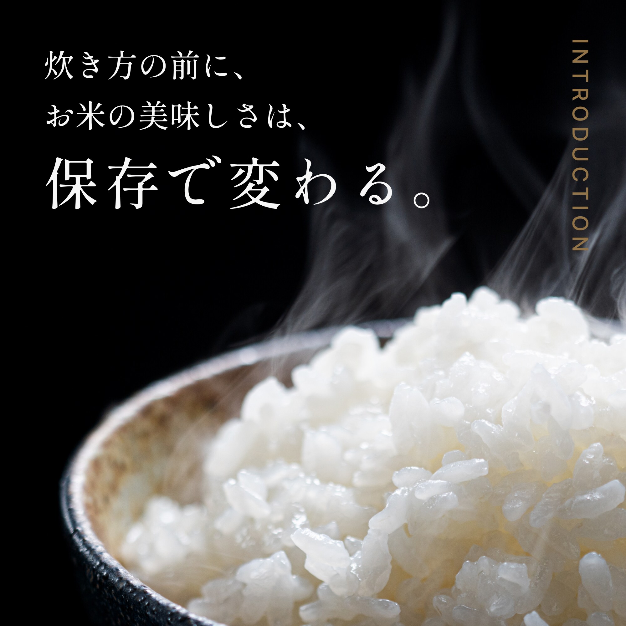 真空保存容器 米びつ 空蔵(KURA) 5kg SE1049333 │アイリスオーヤマ