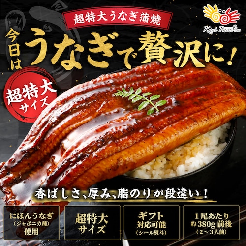 超特大 うなぎの蒲焼 2尾セット 1尾あたり約380g 冷凍_1