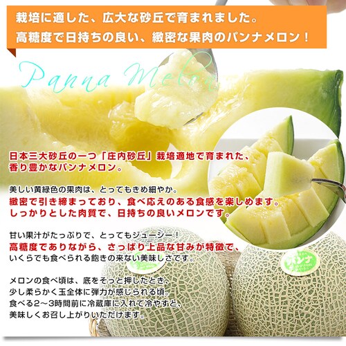 山形県産 JAそでうら パンナメロン 優品以上 大玉3Lサイズ 約5キロ(4玉入り) 送料無料 メロン めろん ギフト 夏ギフト お中元【ご注文後3日から18日以内に発送します】 _2