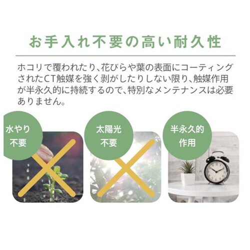 �����A�� �T�{�e�� �t�F�C�N �ʔ� ������� ������ CT�G�} ���L�A�[�e�B�t�B�V�����O���[�� �T�L�������g���t�����E�� �C���e���A�O���[�� �񂹐A�� �|�b�g �t�F�C�N�O���[�� �C���e���A �l�H�A�� _6