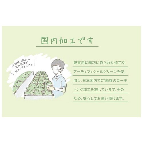 �����A�� �T�{�e�� �t�F�C�N �ʔ� ������� ������ CT�G�} ���L�A�[�e�B�t�B�V�����O���[�� �T�L�������g���t�����E�� �C���e���A�O���[�� �񂹐A�� �|�b�g �t�F�C�N�O���[�� �C���e���A �l�H�A�� _7