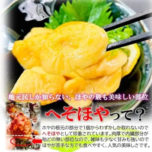 へそほや 110g/pc たれ付き 宮城県産 ホヤ 海鞘 ほや 冷凍 ホヤ酢 ヘソホヤ へそホヤ_1