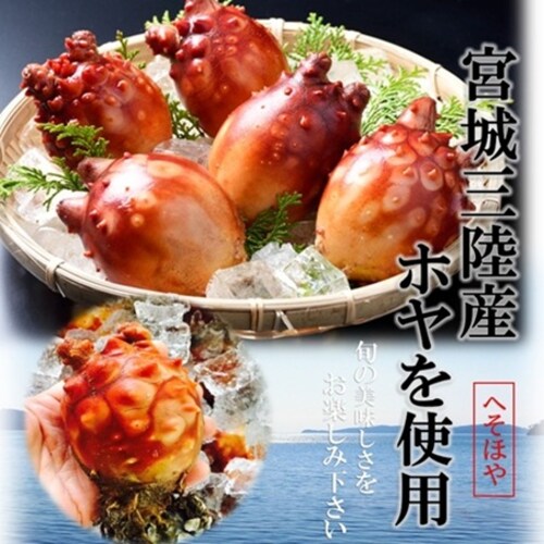 へそほや 110g/pc たれ付き 宮城県産 ホヤ 海鞘 ほや 冷凍 ホヤ酢 ヘソホヤ へそホヤ_2