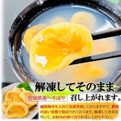 へそほや 110g/pc たれ付き 宮城県産 ホヤ 海鞘 ほや 冷凍 ホヤ酢 ヘソホヤ へそホヤ_3