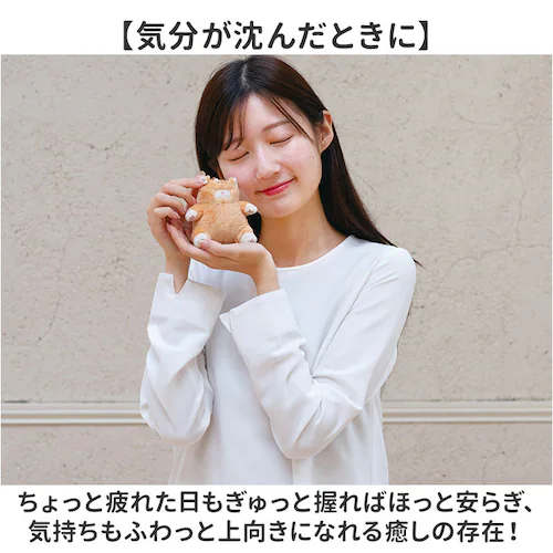 くろねこのまぐろ マスコット 通販 ねこ肯定感 ネココウテイカン キーホルダー 御守りマスコット ストラップ キーリング チャーム 持ち歩き 携帯 ぬいぐるみ かわいい カワイイ 猫 ねこ ネコ アニ_3