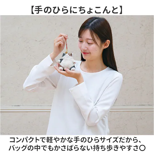 くろねこのまぐろ マスコット 通販 ねこ肯定感 ネココウテイカン キーホルダー 御守りマスコット ストラップ キーリング チャーム 持ち歩き 携帯 ぬいぐるみ かわいい カワイイ 猫 ねこ ネコ アニ_5