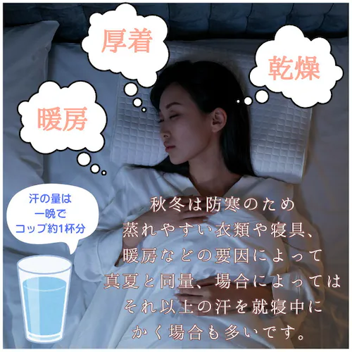 IV 肌掛け布団 シングル 通販 掛け布団 肌がけ布団 肌がけ 掛布団 マシュマロ布団 ふっくら ふわふわ もちもち フワフワ モチモチ 丸洗い 軽量 軽い 柔らかい 柔らか ふんわり 肌触りが良い _6